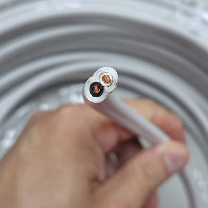水電神器-太平洋 2.0mm 2C白扁線:圖片 3